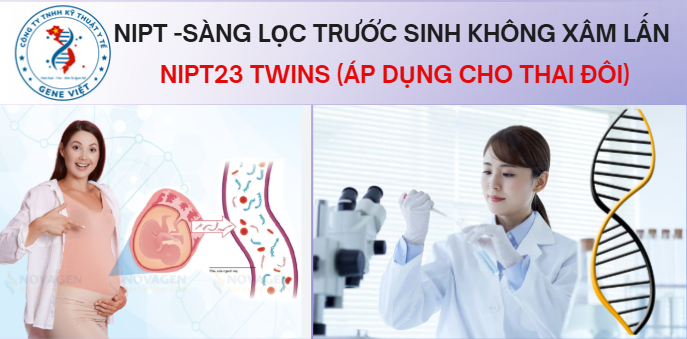 NIPT23 Twins sàng lọc trước sinh toàn diện cho thai đôi là gì 2026