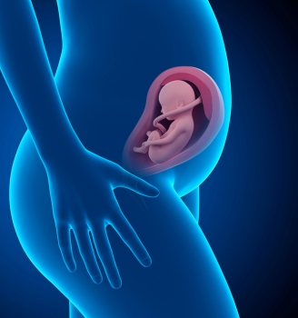 Xét nghiệm ADN thai nhi