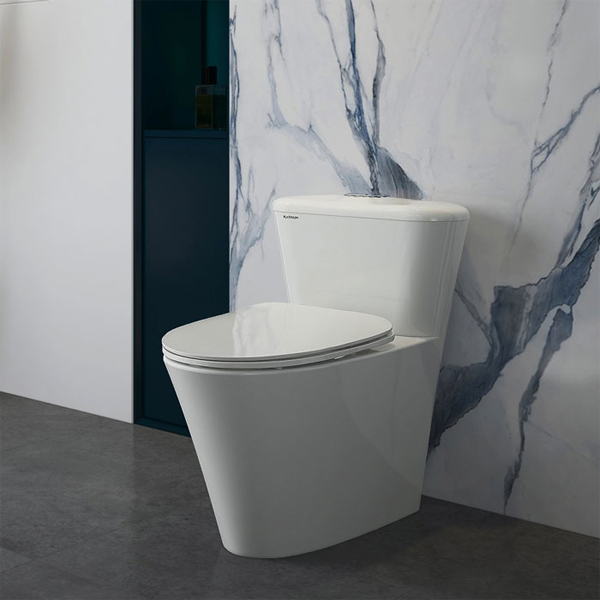 Hướng dẫn lắp đặt bàn cầu một khối Platinum P.11.450