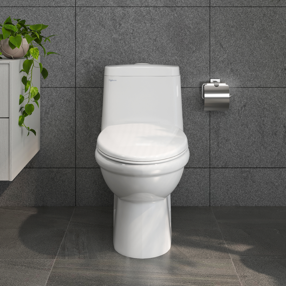 Bàn cầu một khối BL5