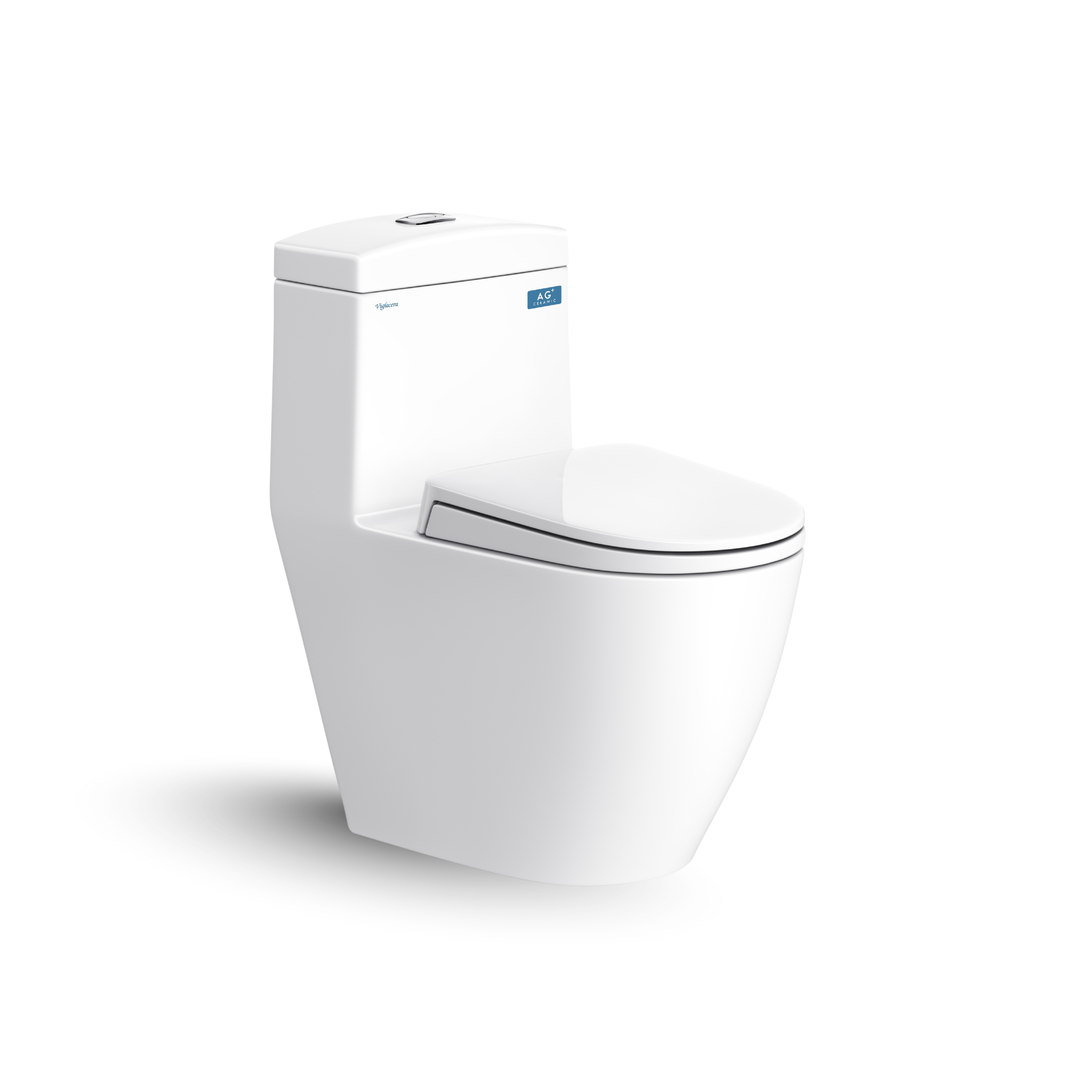 Bàn cầu một khối V199