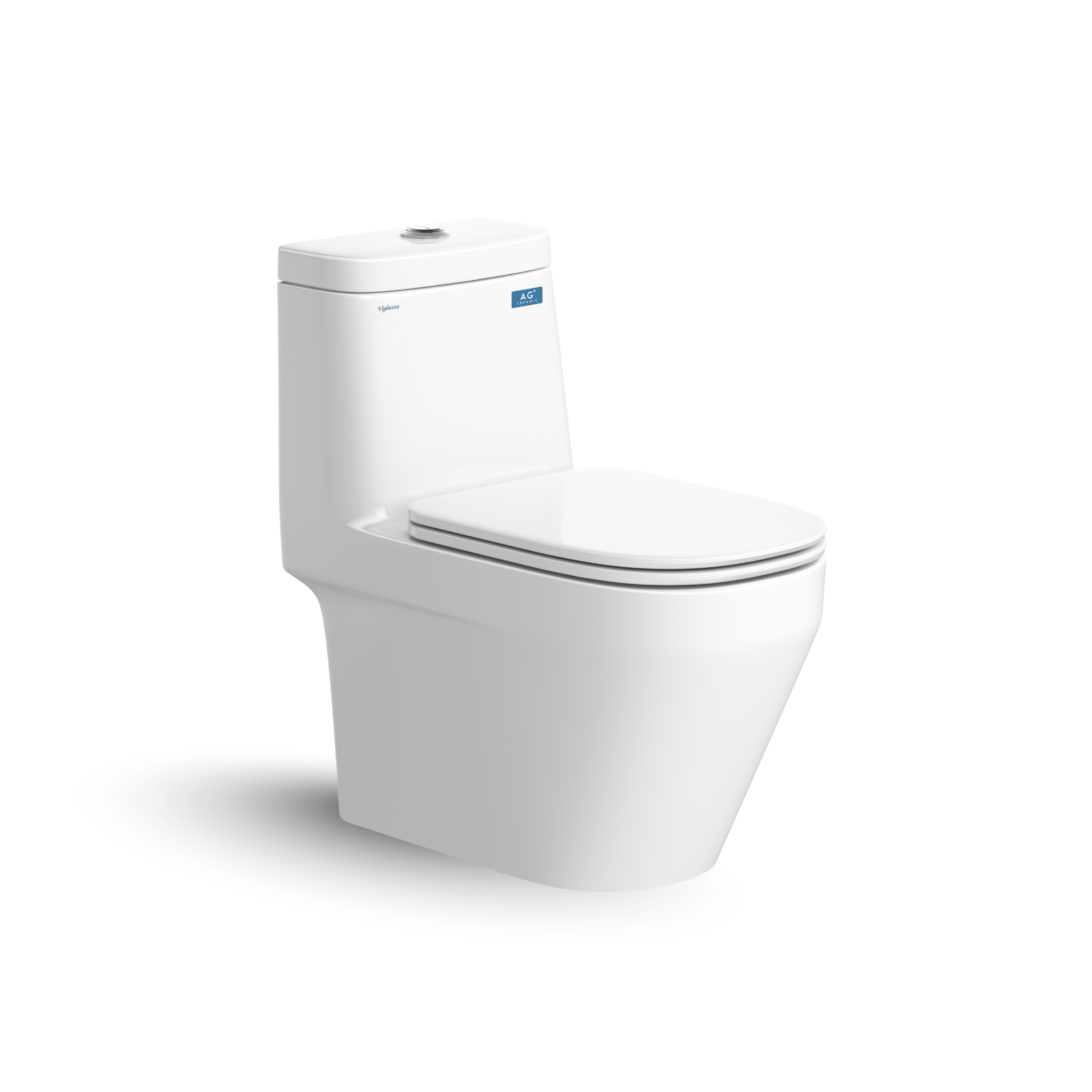 Bàn cầu một khối V68