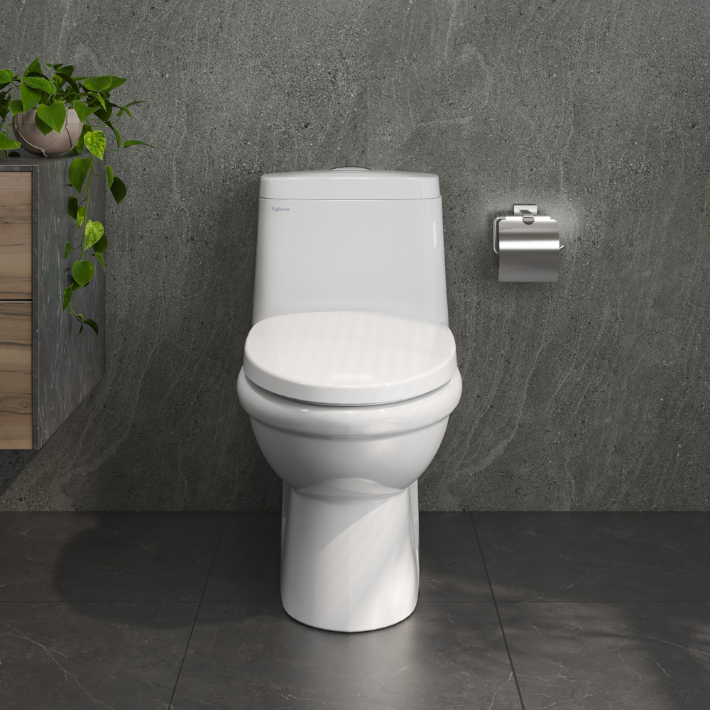 Bàn cầu một khối V825