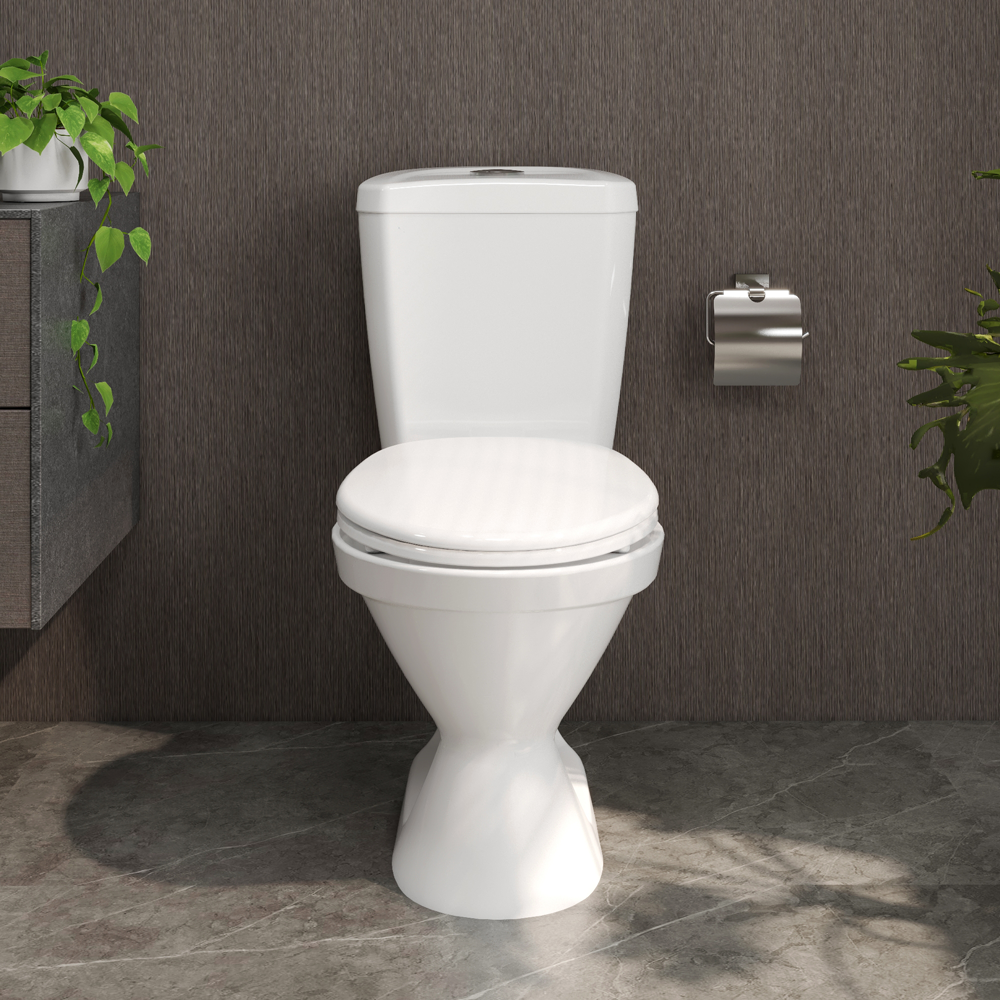 Bàn cầu hai khối VI66