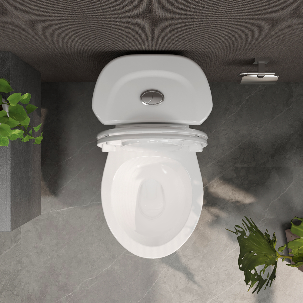 Bàn cầu hai khối VI66