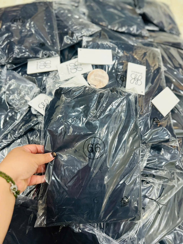 AE06 Áo sơ mi lụa