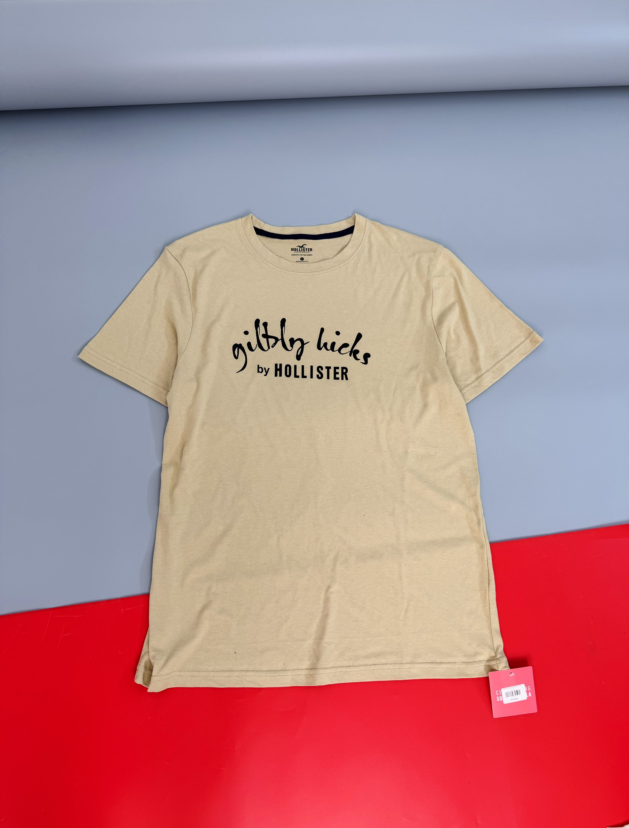 A48 Áo phông nam Holister