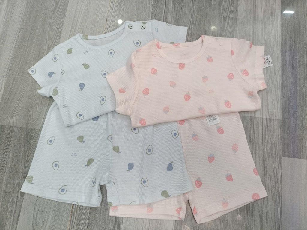 B22 Bộ cotton Hàn ngắn