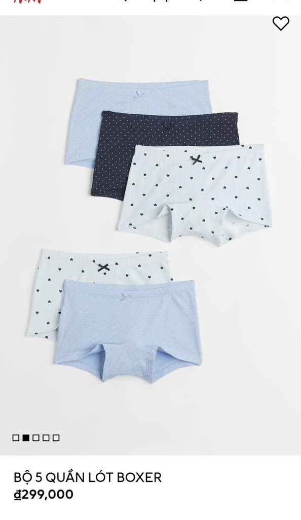 C15 Set 5 quần chip đùi HM