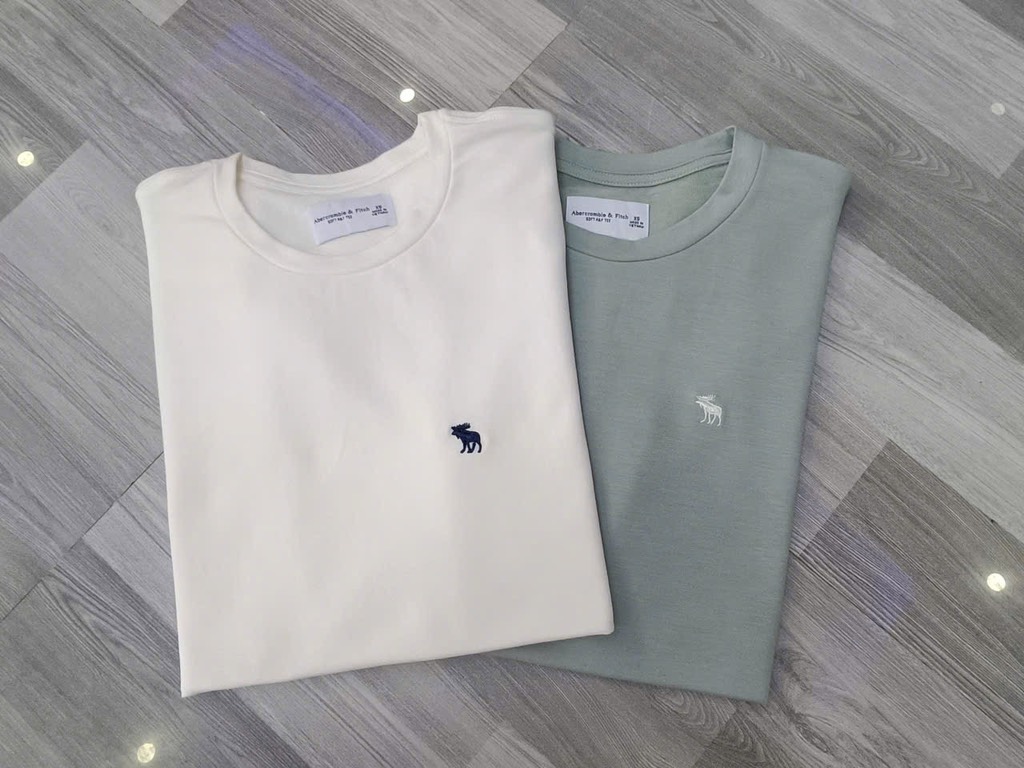 AA02 Áo thun nam Aber