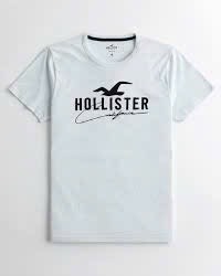 A48 Áo phông nam Holister