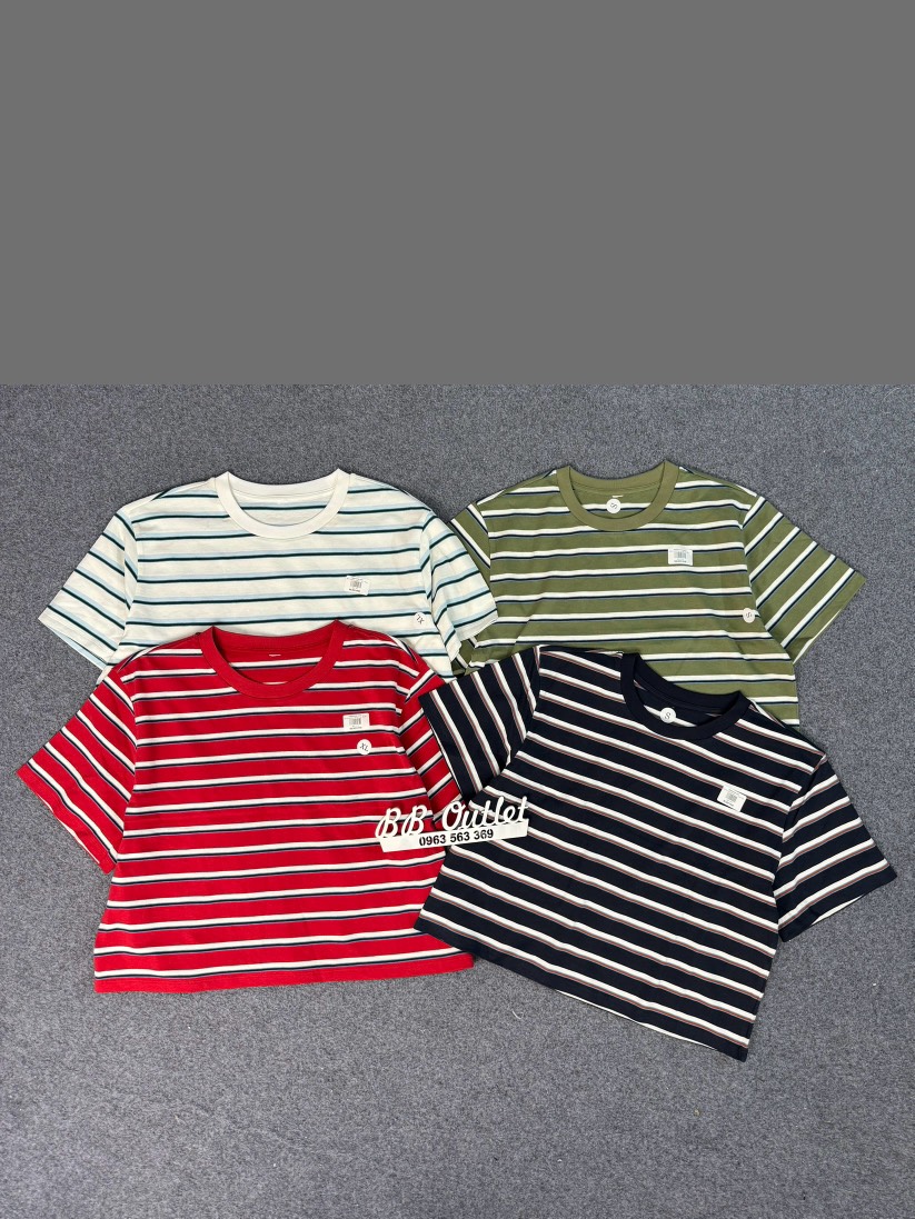 AE41 Áo phông croptop u