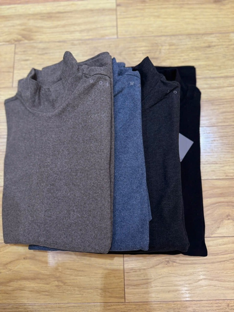 A141 Áo nỉ nam WOLSEY