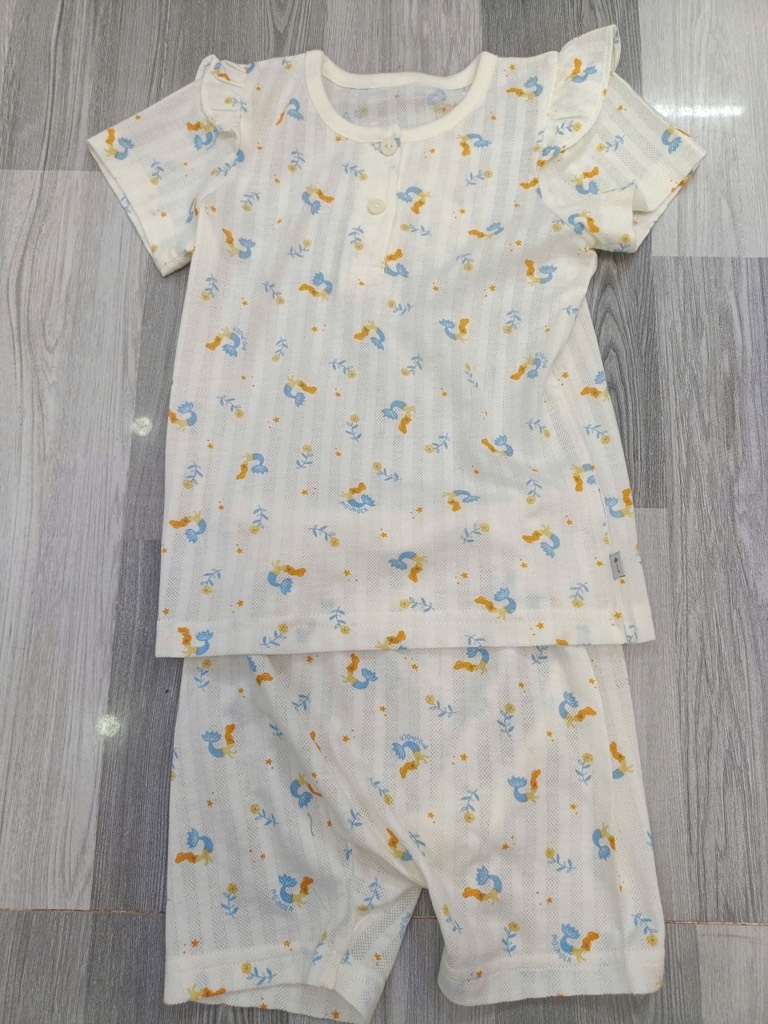 B22 Bộ cotton Hàn ngắn