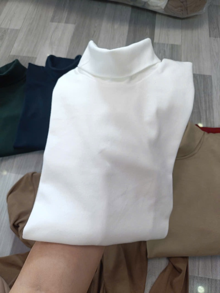 AE35 Áo cotton cổ lọ