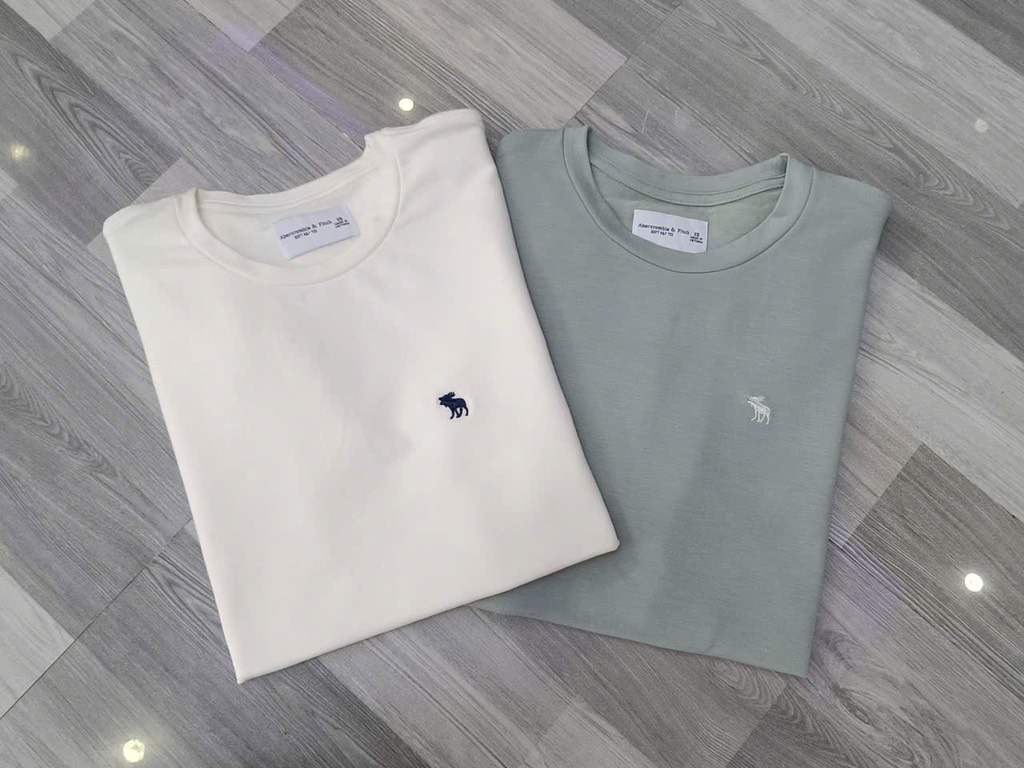 AA02 Áo thun nam Aber