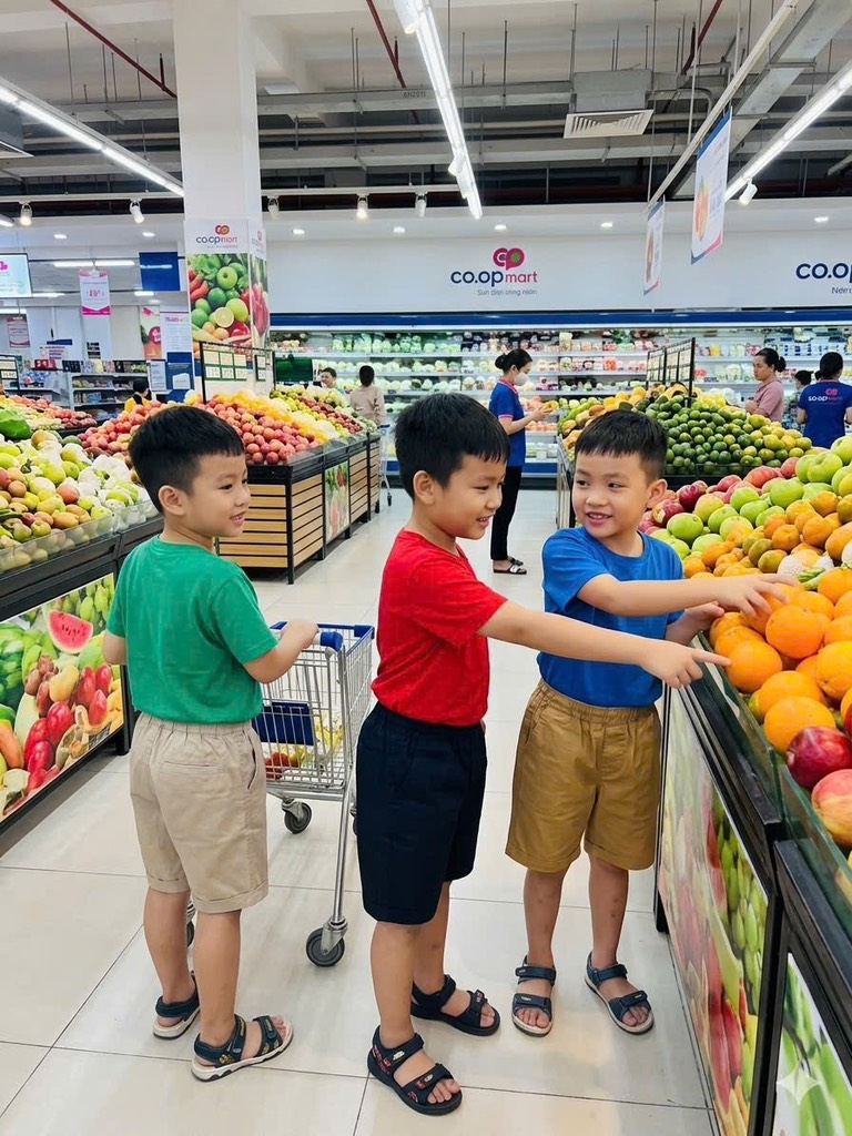 QB03 Quần short trẻ em Net