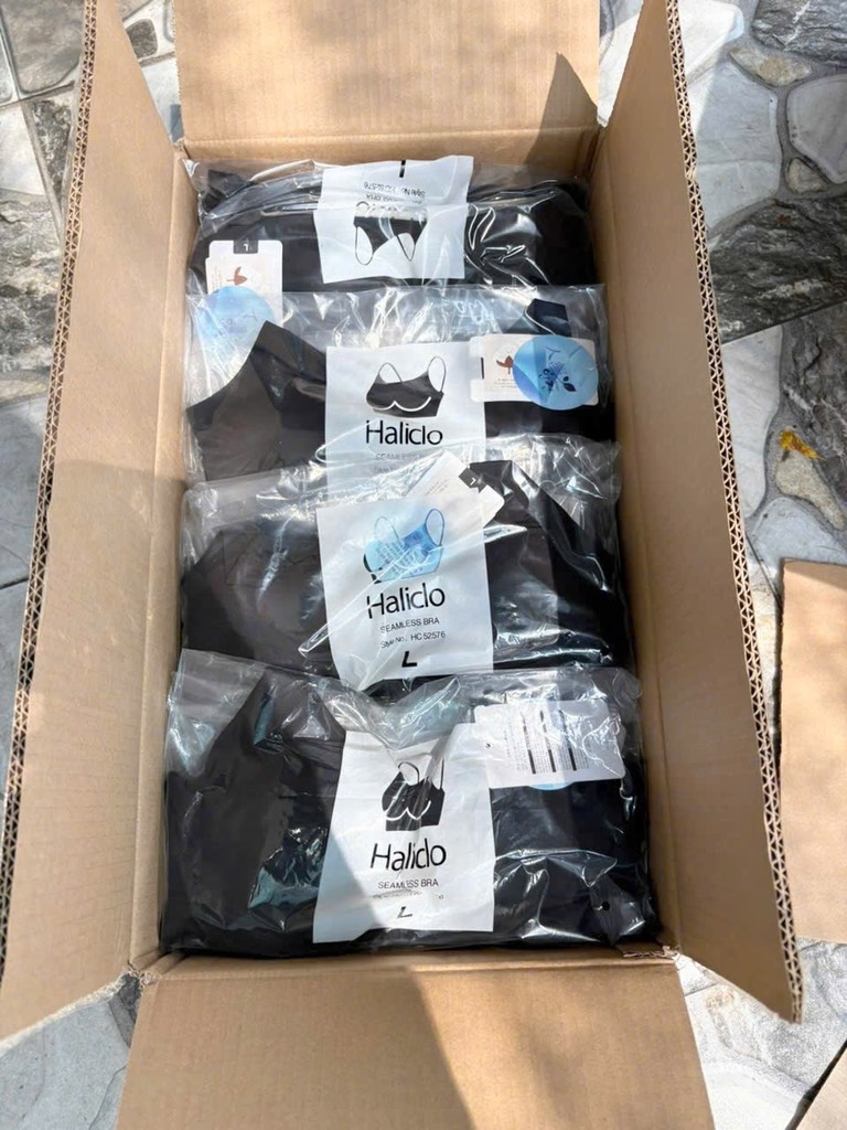 AE12 Áo bra Haliclo ngắn