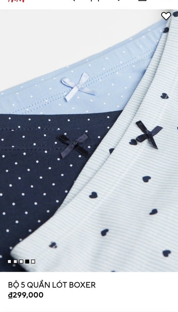 C15 Set 5 quần chip đùi HM