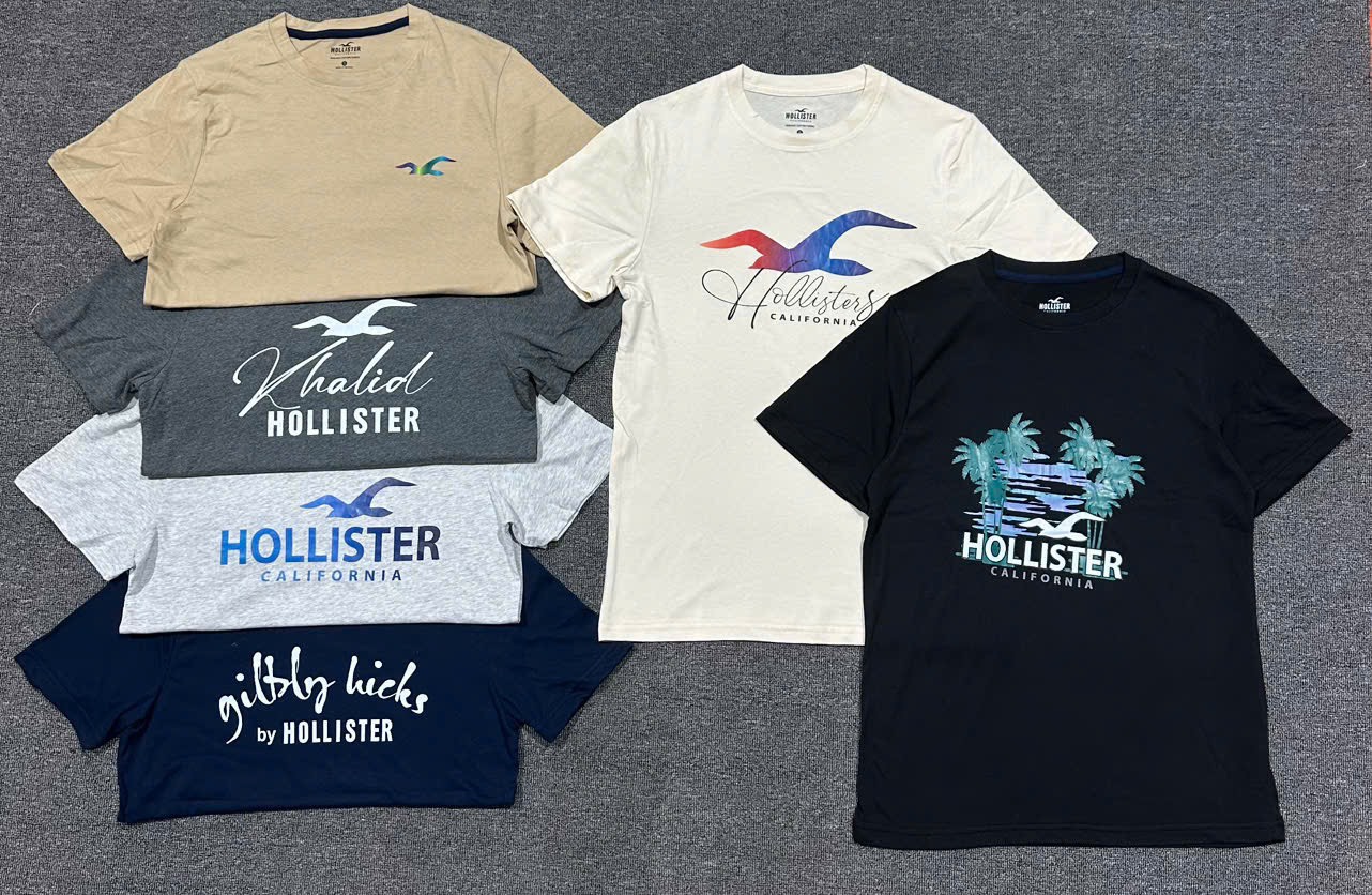 A48 Áo phông nam Holister