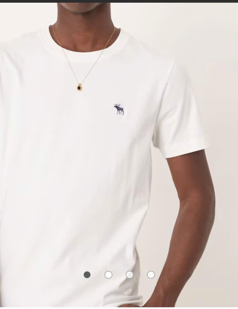 AA02 Áo thun nam Aber