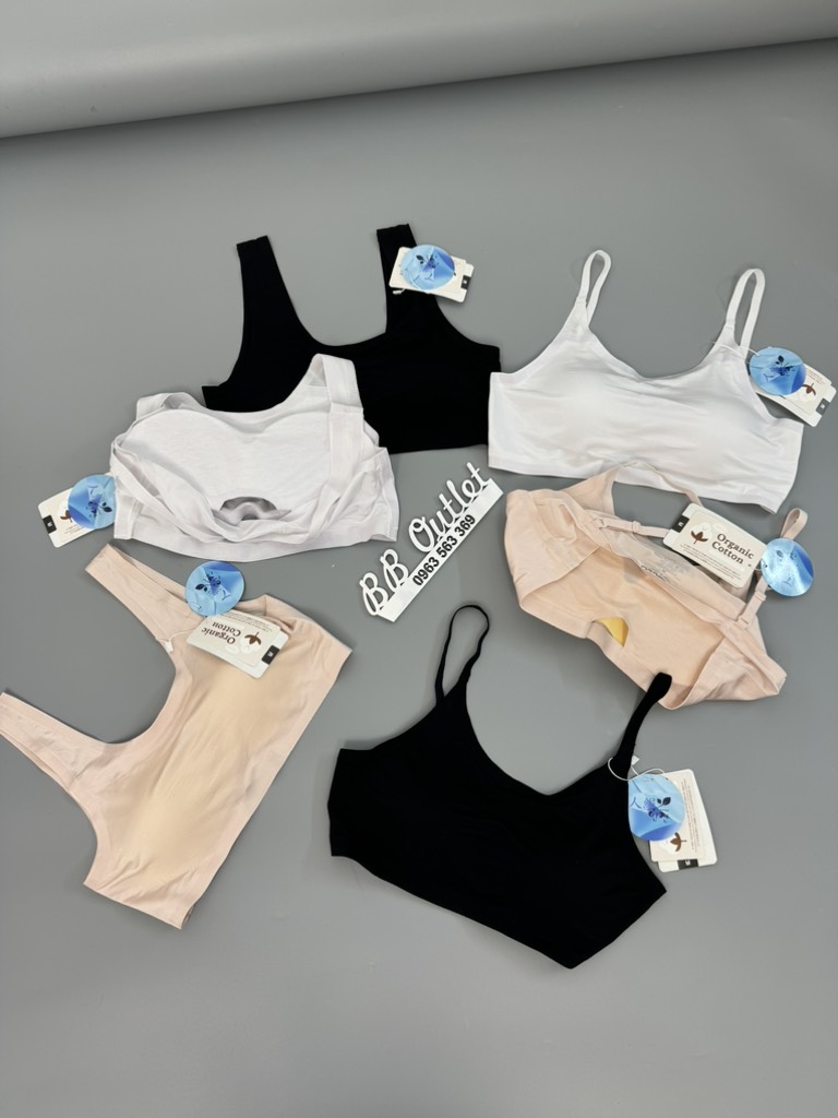 AE12 Áo bra Haliclo ngắn