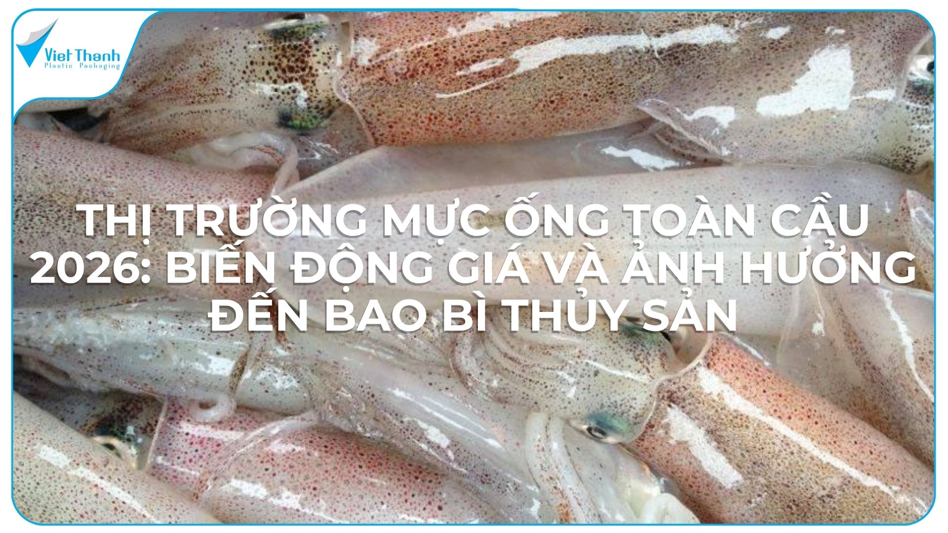 Thị Trường Mực Ống Toàn Cầu 2026: Biến Động Giá và Ảnh Hưởng Đến Bao Bì Thủy Sản