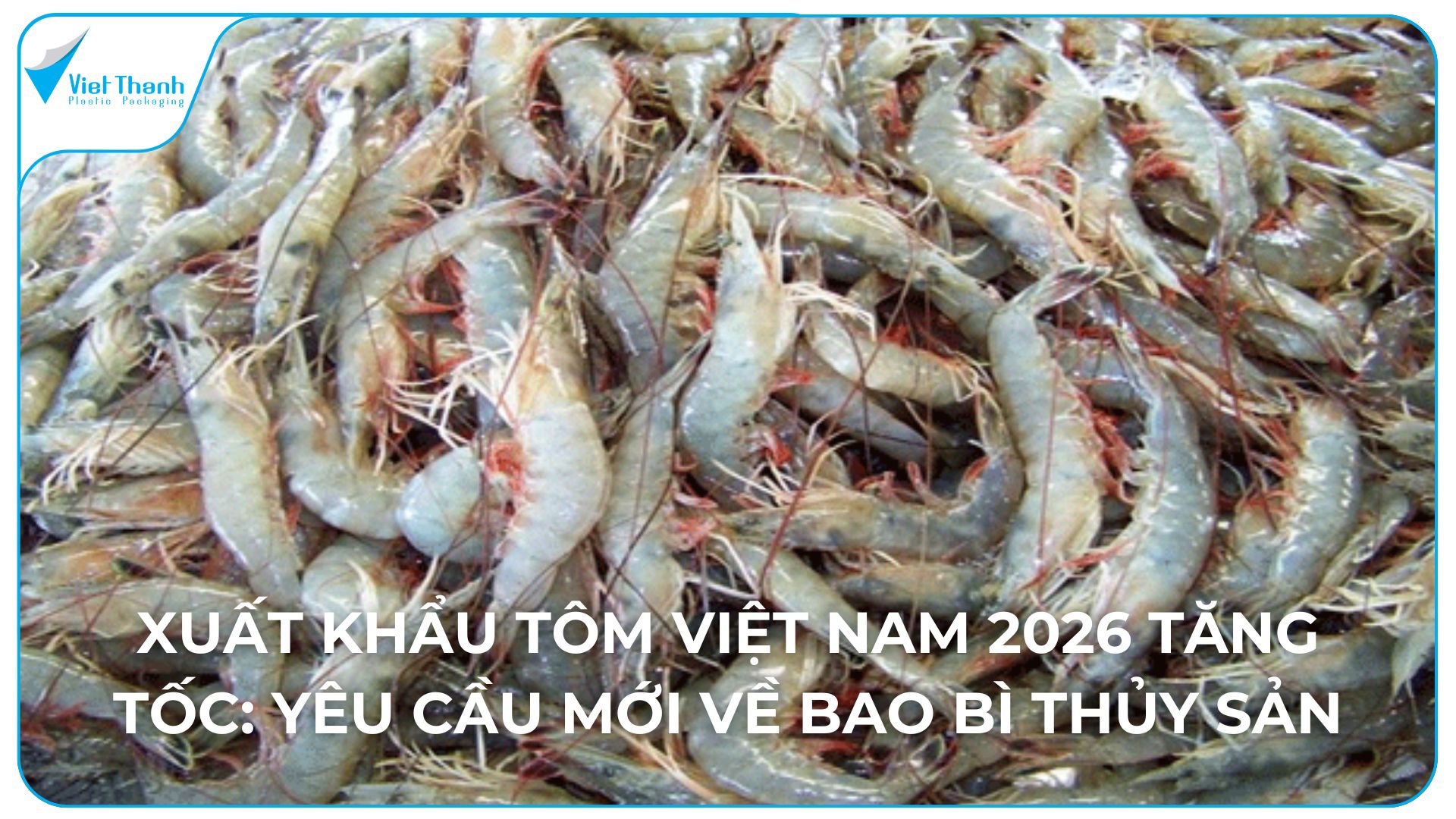 Xuất khẩu tôm Việt Nam 2026 tăng tốc: Yêu cầu mới về bao bì thủy sản