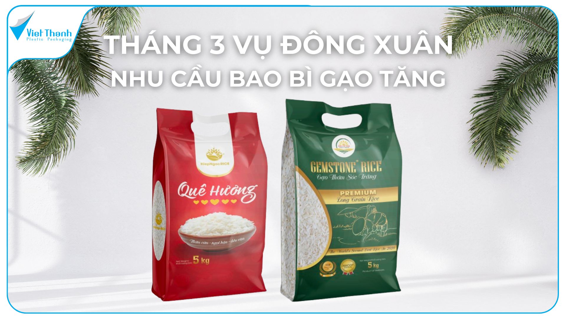 Tháng 3 Vụ Đông Xuân: Cao Điểm Thu Hoạch Và Áp Lực Bao Bì Gạo 5–10kg