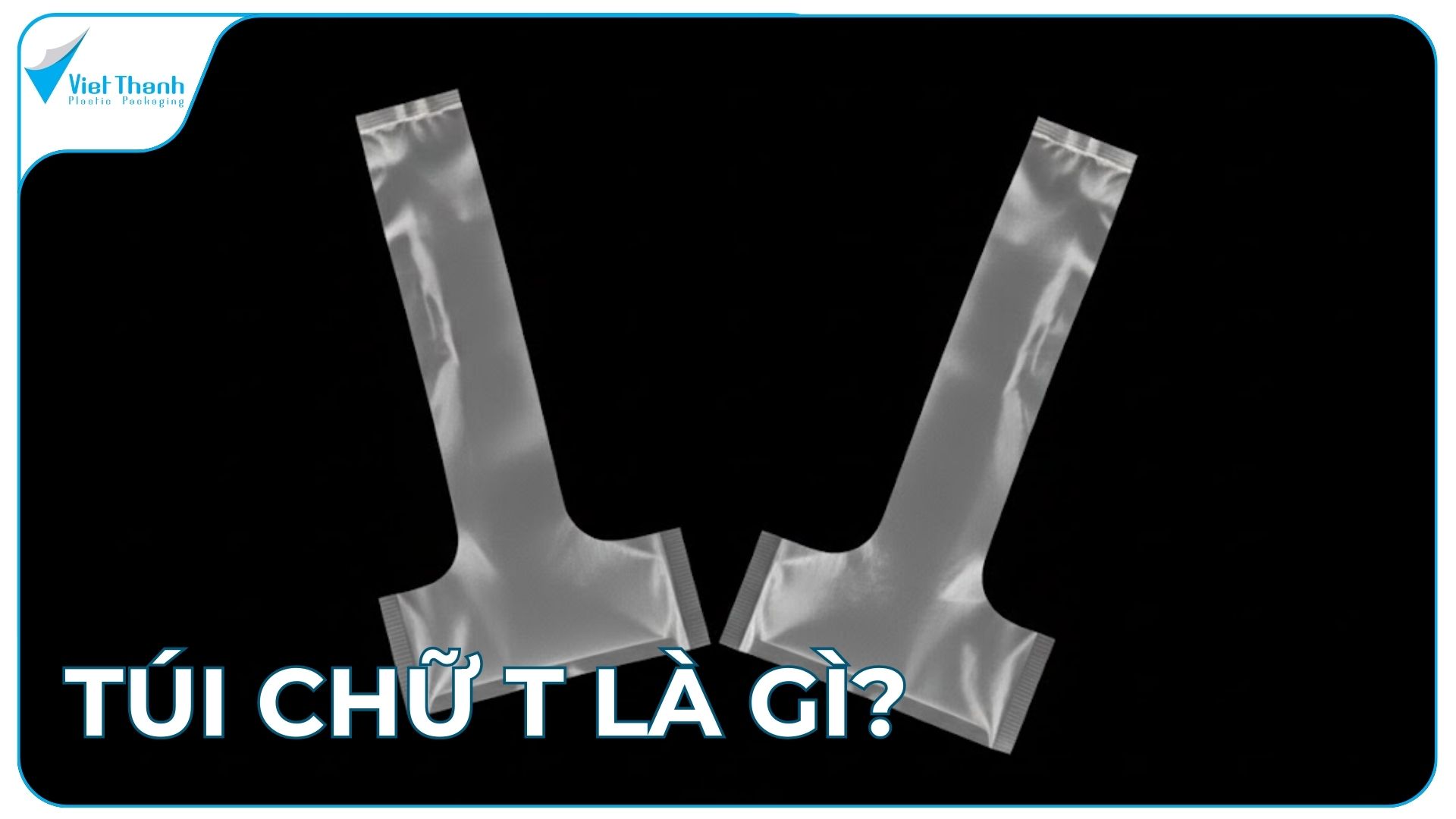 Túi chữ T là gì? Cấu tạo, chất liệu, và ứng dụng của túi chữ T