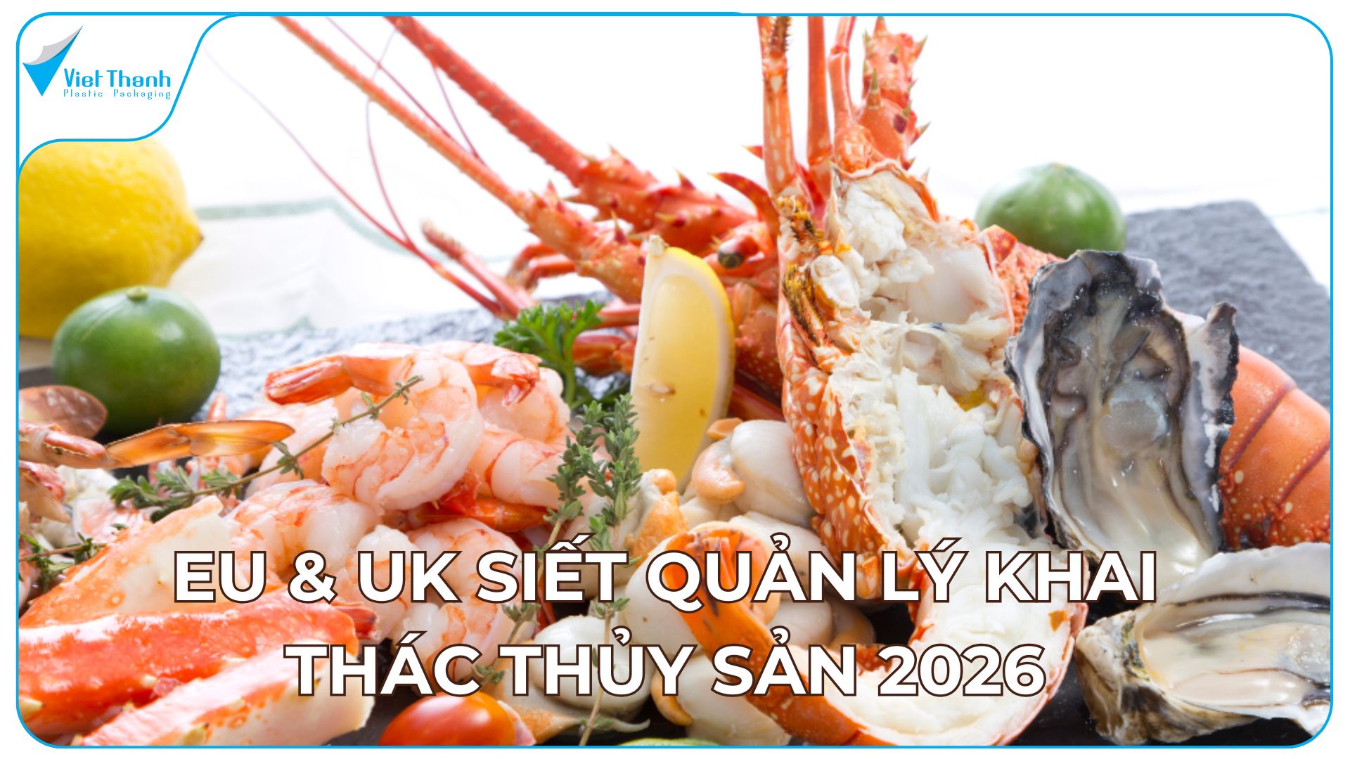 EU & UK siết quản lý khai thác thủy sản 2026: Doanh nghiệp xuất khẩu Việt Nam cần chuẩn bị gì từ bây giờ?
