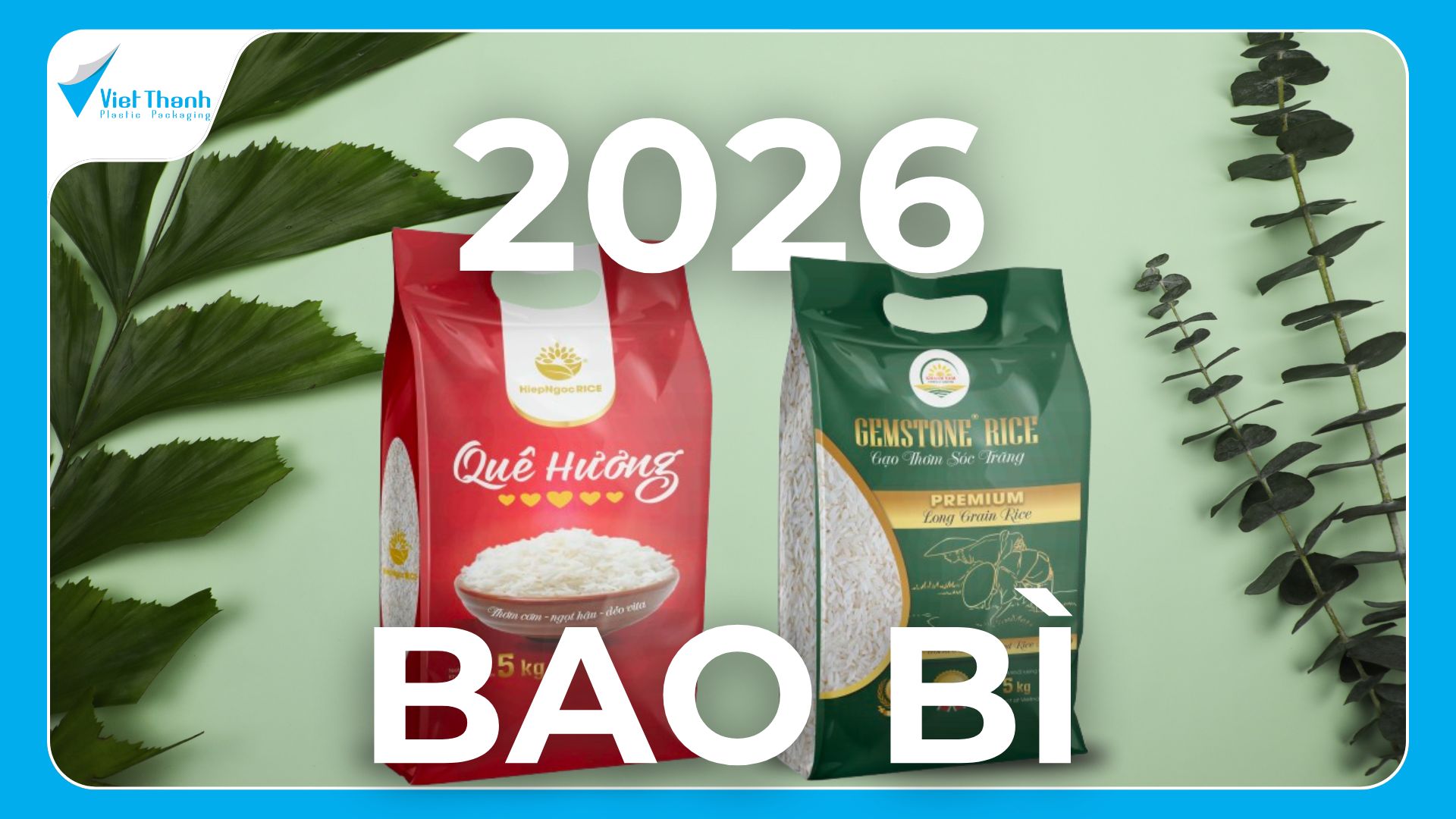 BÁO GIÁ BAO BÌ NHỰA VIỆT THÀNH