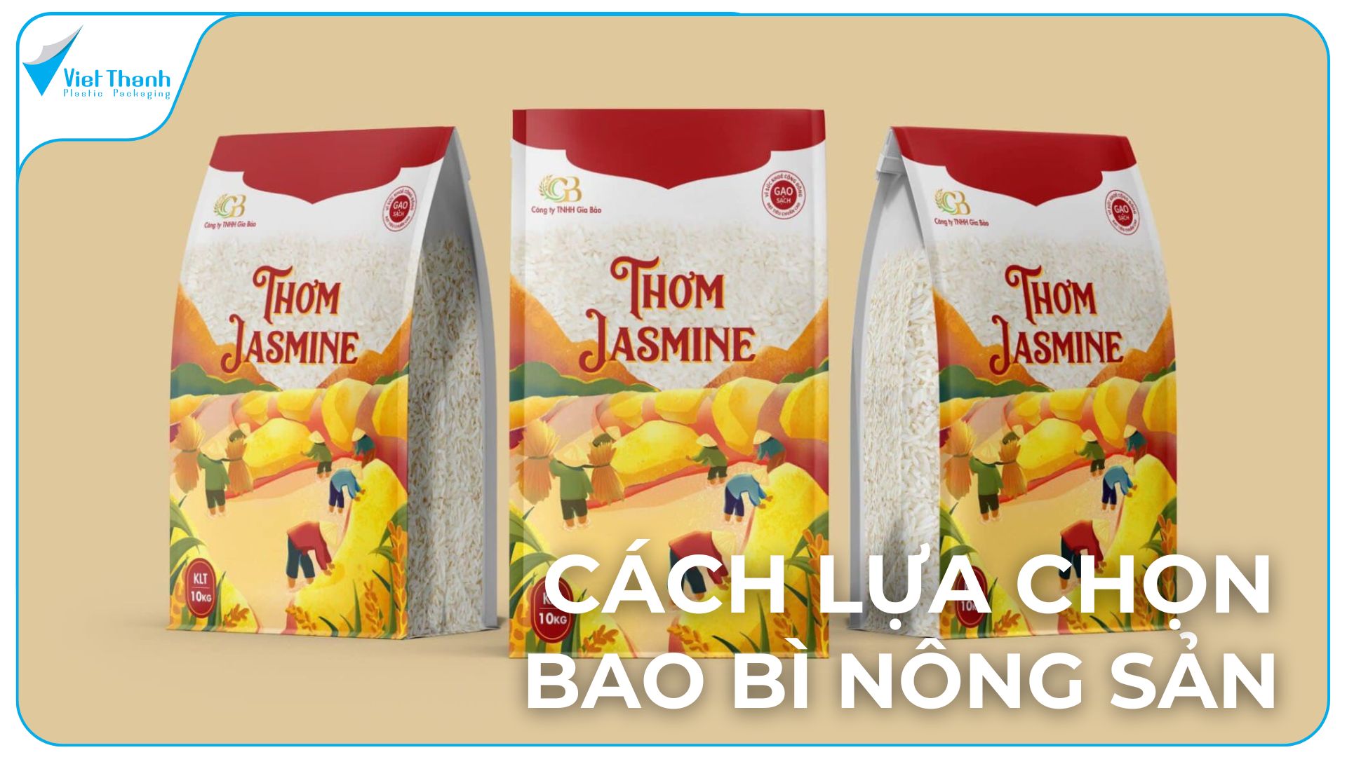 Cách Lựa Chọn Bao Bì Nông Sản: Tiêu Chuẩn Quan Trọng Để Tăng Giá Trị & Kéo Dài Thời Hạn Bảo Quản