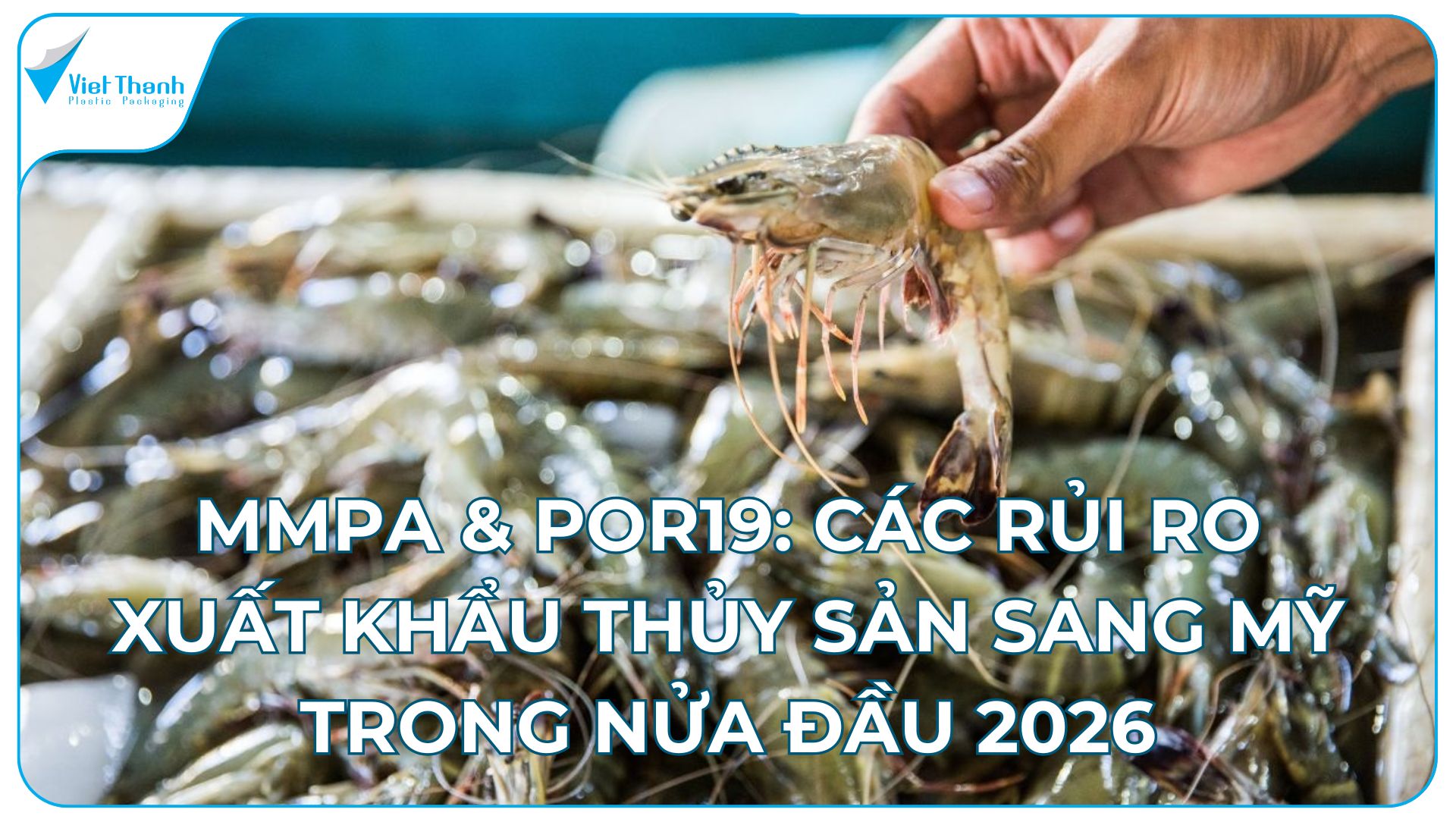 MMPA & POR19: Các rủi ro xuất khẩu thủy sản sang Mỹ trong nửa đầu 2026