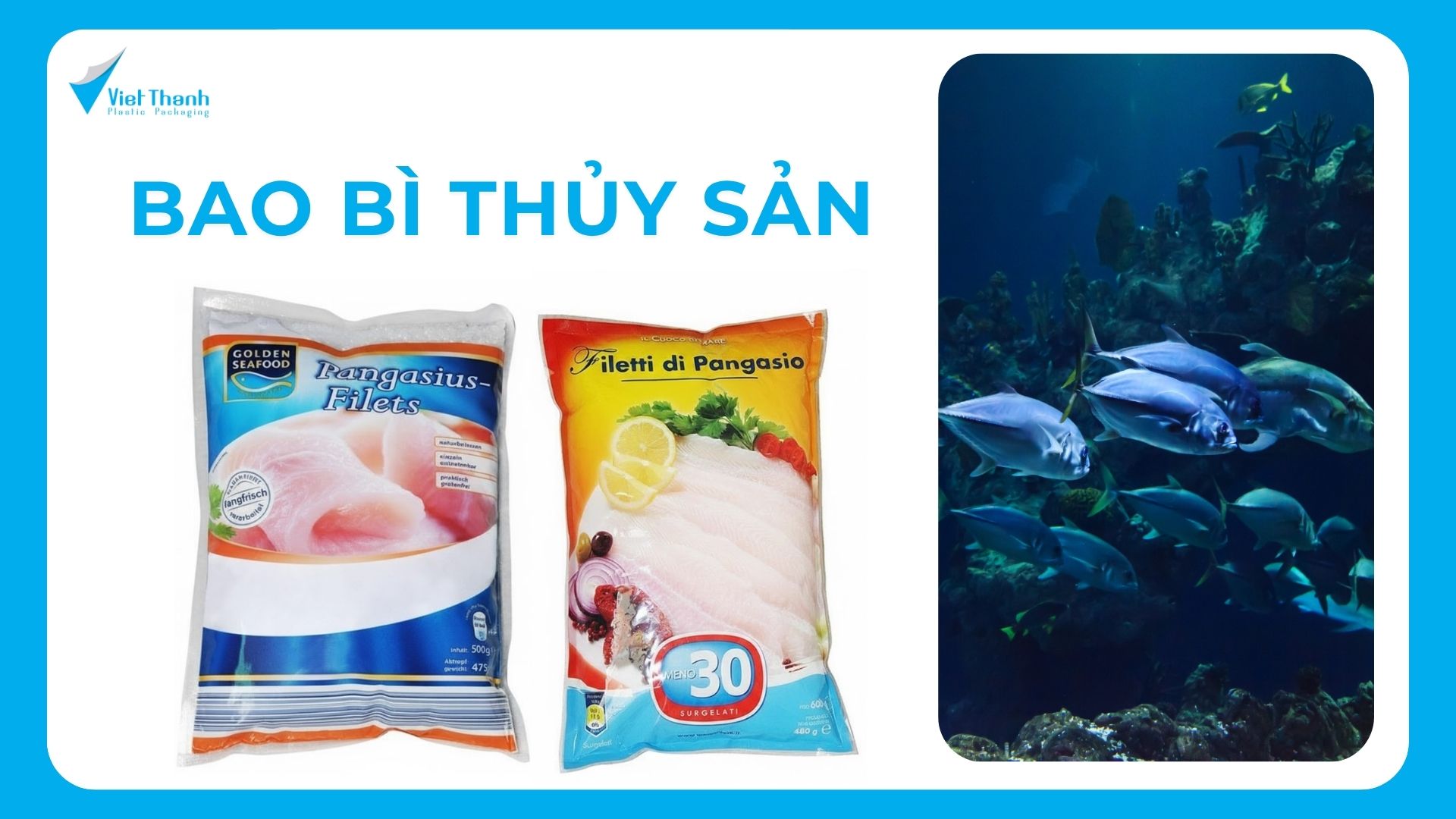 bao bì thủy sản bao bì nhựa việt thành