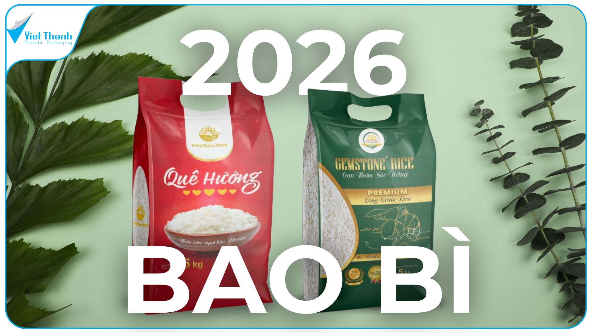 Xu hướng bao bì 2026 – Đổi mới thiết kế, chất liệu & công nghệ bao bì nhựa