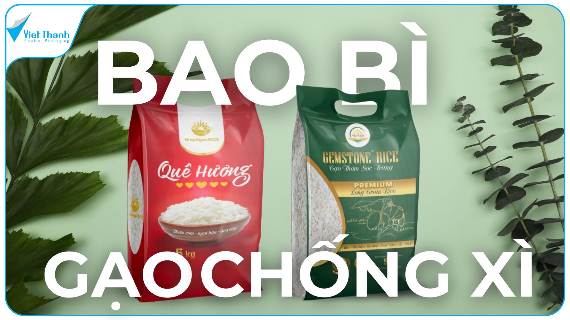 Cách Chọn Bao Bì Gạo Chống Ẩm, Chống Va Đập, Chất Lượng