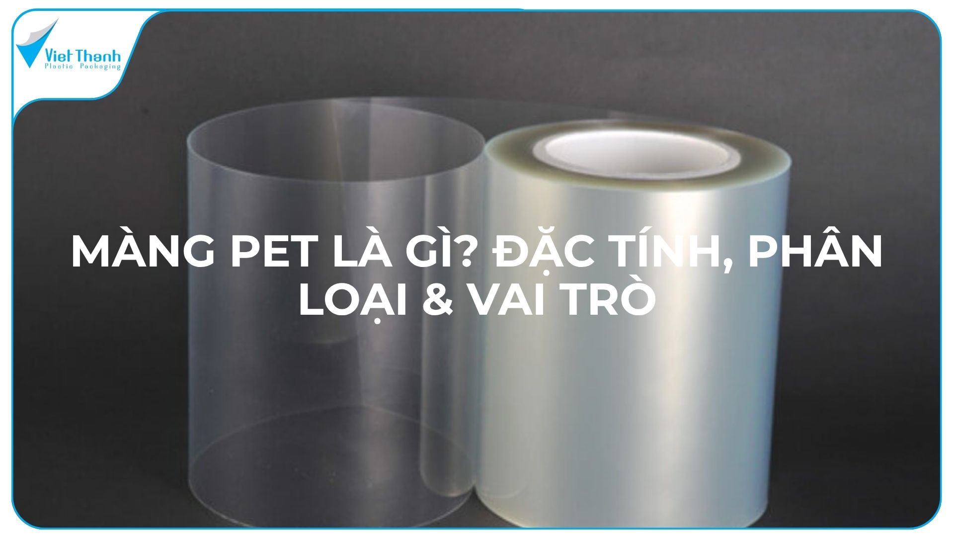 Màng PET Là Gì? Đặc Tính, Phân Loại & Vai Trò Trong Bao Bì Nhựa Mềm