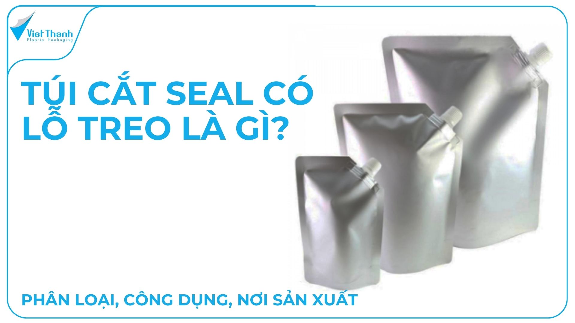 TÚI CẮT SEAL CÓ LỖ TREO LÀ GÌ? PHÂN LOẠI, CÔNG DỤNG, NƠI SẢN XUẤT