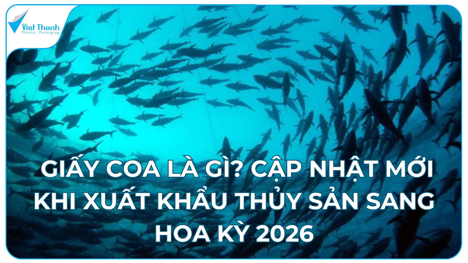  Giấy COA là gì? Cập nhật mới khi xuất khẩu thủy sản sang Hoa Kỳ 2026