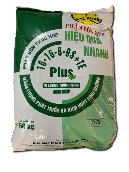 Bình Điền 2 Phong 16-16-8