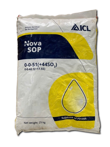 Kali trắng Nova SOP