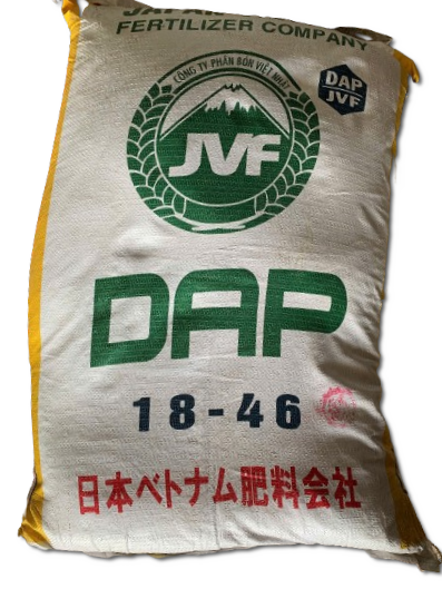 DAP Việt Nhật