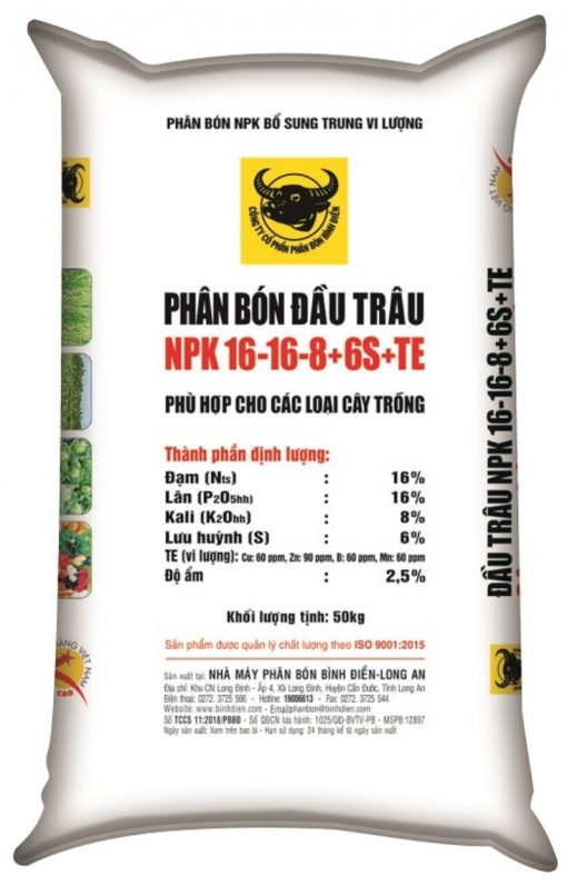 Đầu Trâu 16-16-8