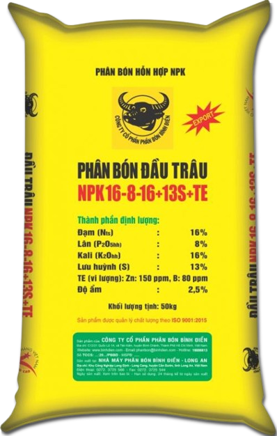 Đầu Trâu 16-8-16