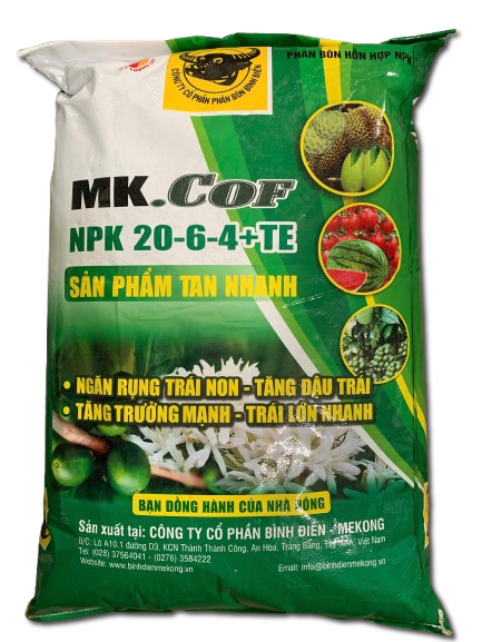 Đầu Trâu Bình Điền 20-6-4
