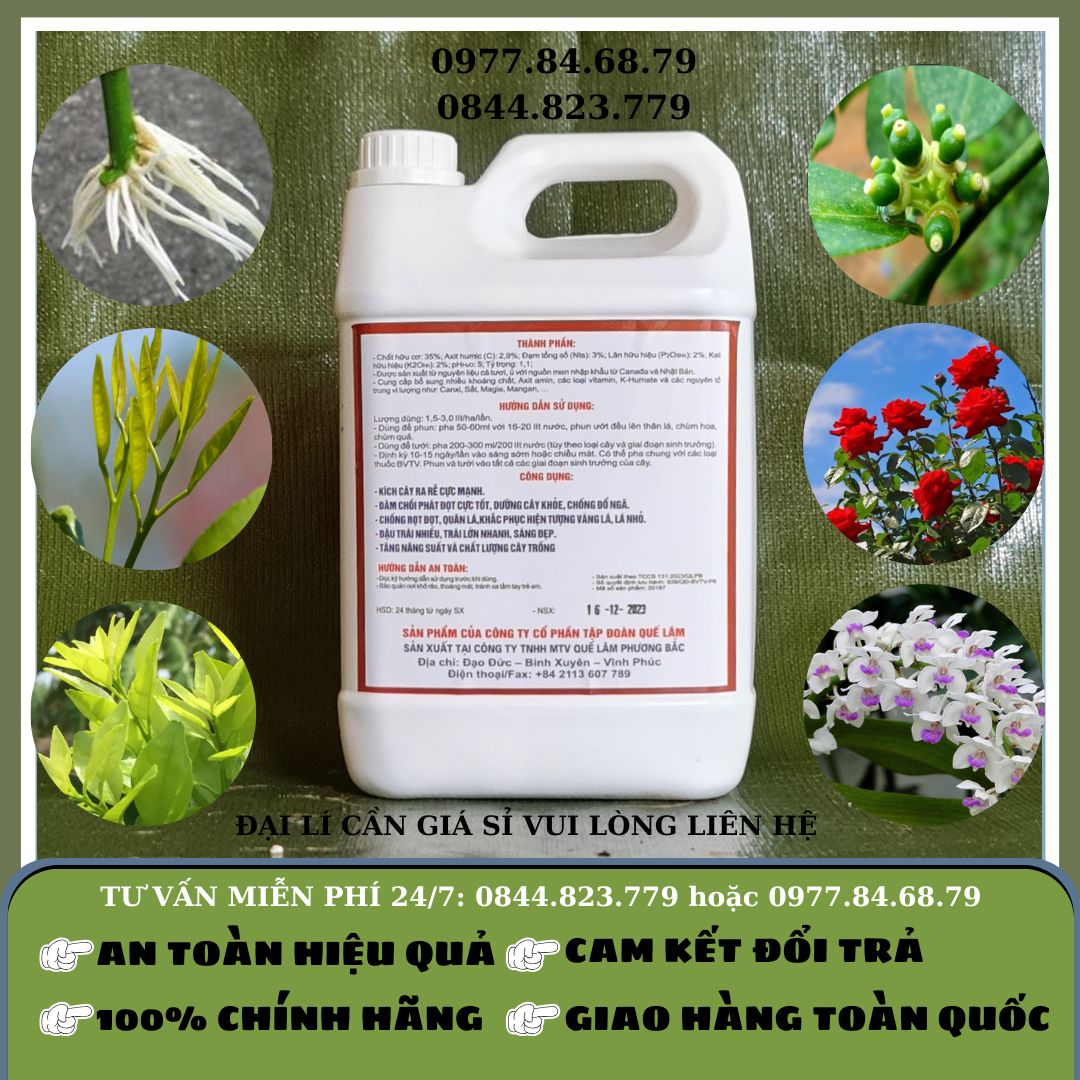 Humate Rong Biển Quế Lâm SH05 Can 5 lít