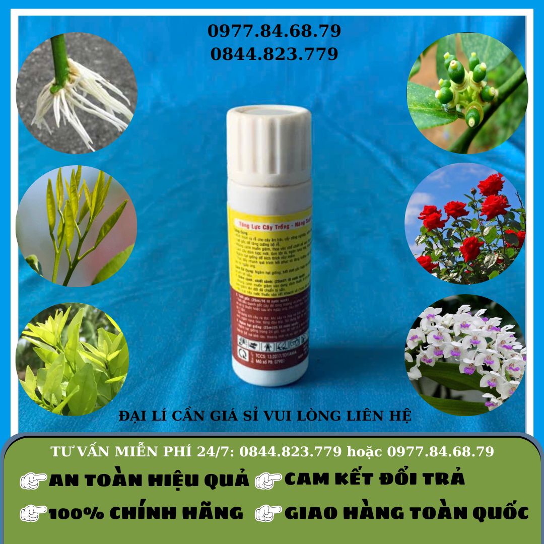 Ra Rễ NEM 25ml