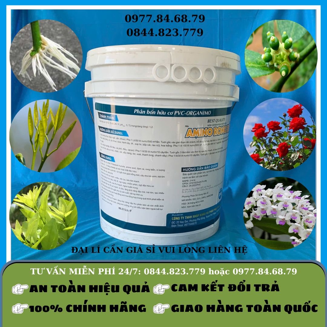 Amino Rong Biển Can 20 lít