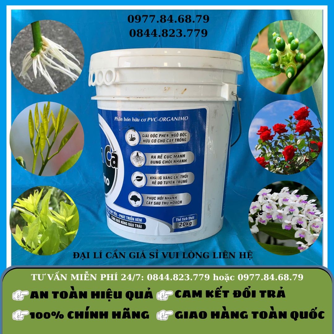 Amino Đạm Cá Xô 20 lít